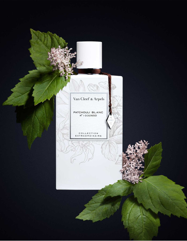 CE Patchouli Blanc Edp